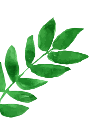 Leaf Decoration Left