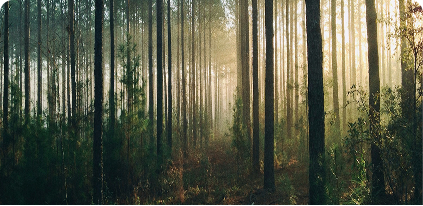 Sustainability Benefit